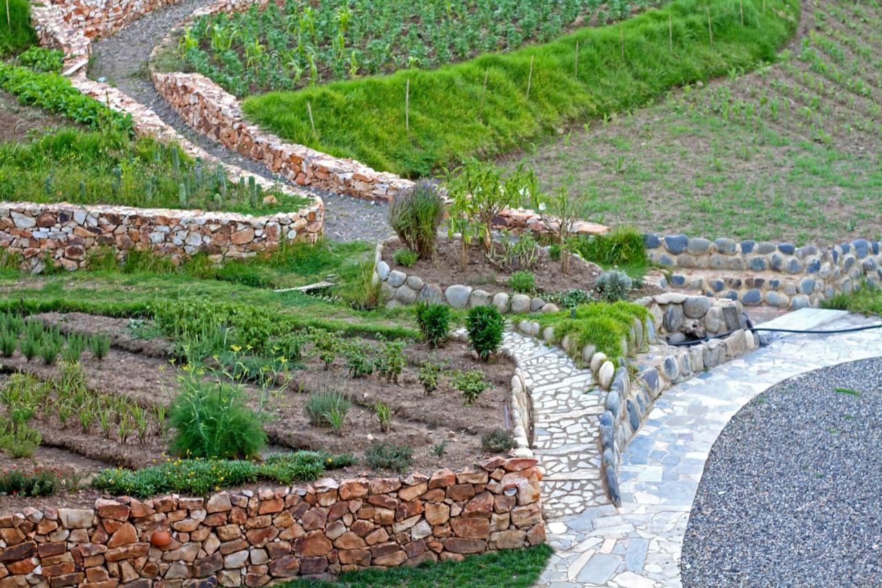 Fleur Lodge Carhuaz Kültér fotó